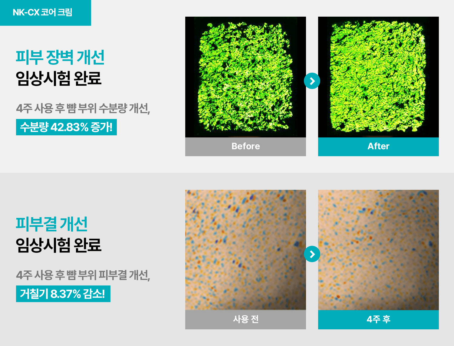NK-CX Protein Poten Booster